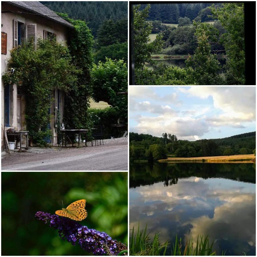 Chambres D'Hotes A L'Etang D'Yonne Arleuf Luaran gambar
